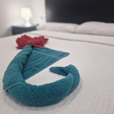 Barcelona,Apartamento Con Terraza Daire L'Hospitalet de Llobregat Dış mekan fotoğraf