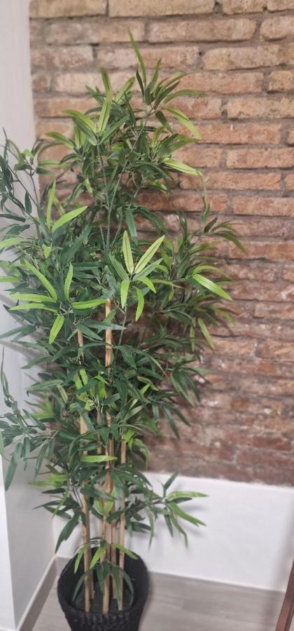 Barcelona,Apartamento Con Terraza Daire L'Hospitalet de Llobregat Dış mekan fotoğraf